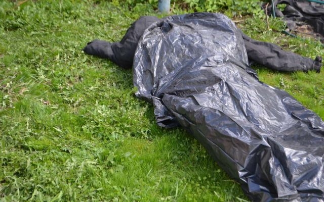 В Николаевской области в лесополосе нашли мумифицированное тело мужчины