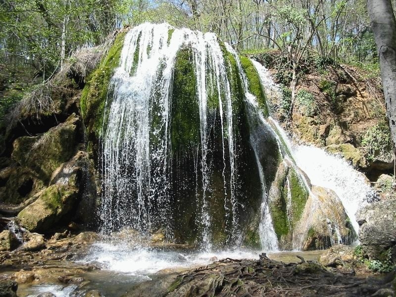 Фото иллюстрационное