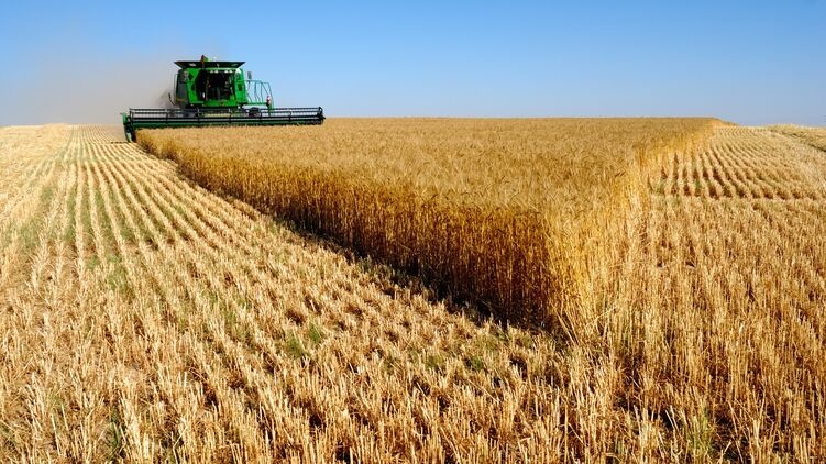 Урожай зерна в Украине стал самым бедным за последние годы