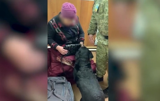 71-летняя женщина пыталась пронести через границу наркотики - ее остановила служебная собака