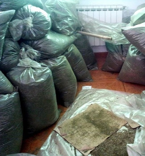 Украинские пограничники за год изъяли 606 килограммов наркотиков