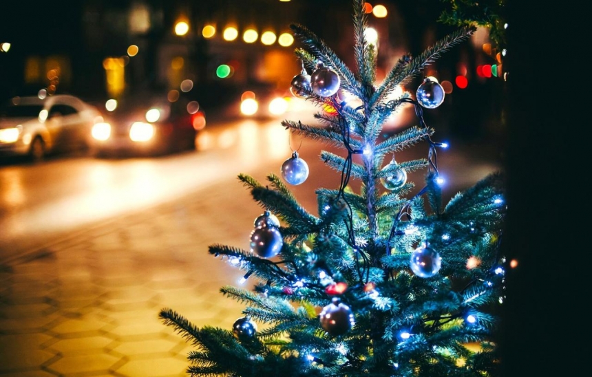В Украине мошенники обманывают покупателей новогодних елок