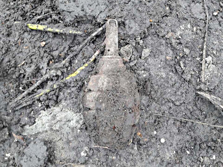 В Николаевской области мужчина нашел гранату   