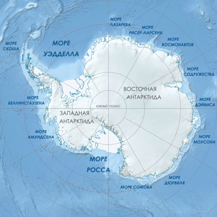 В Антарктиде зафиксировали первые случаи коронавируса