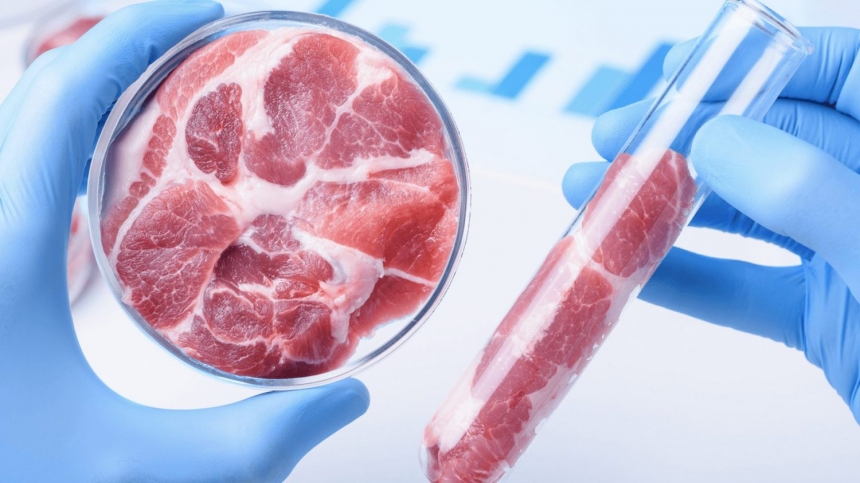 Аналитики предсказали взлет рынку искусственного мяса