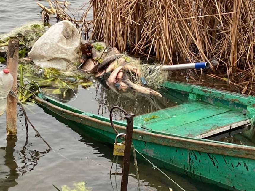 На реке Южный Буг двое рыбаков упали в воду: их ищут водолазы