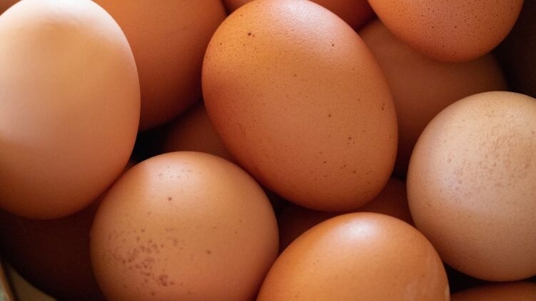 Эксперты прогнозируют подорожание яиц после новогодних праздников