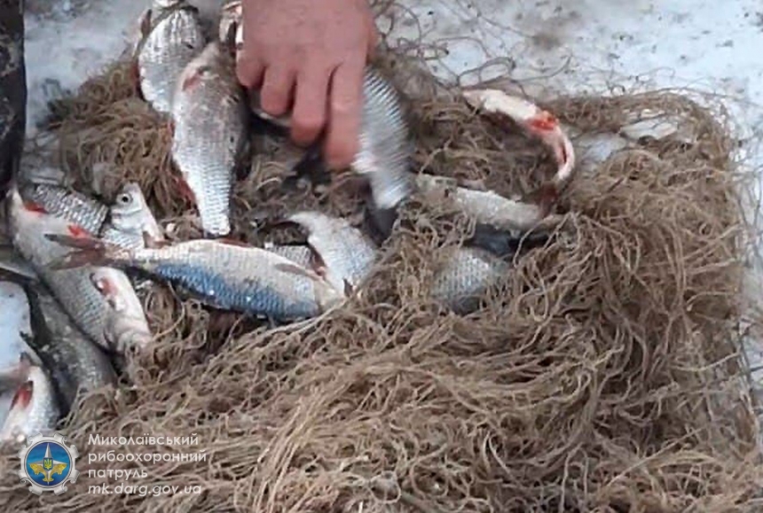 В Николаевской области браконьеры выловили рыбы на 32 тысячи гривен