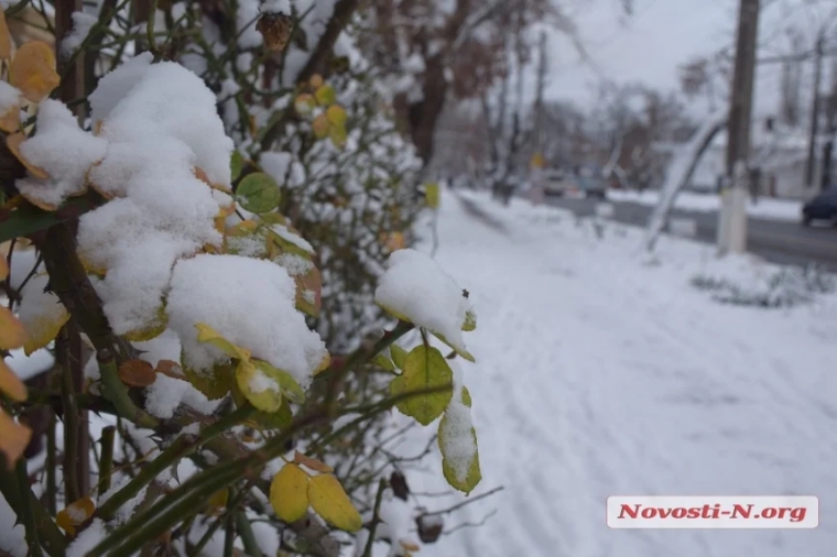 Синоптик рассказал, когда в Николаеве фиксировали 21-градусные морозы