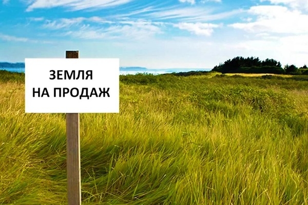 Землю в Украине можно будет купить через интернет
