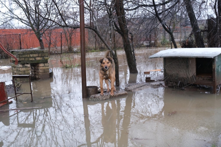 Фото иллюстрационное