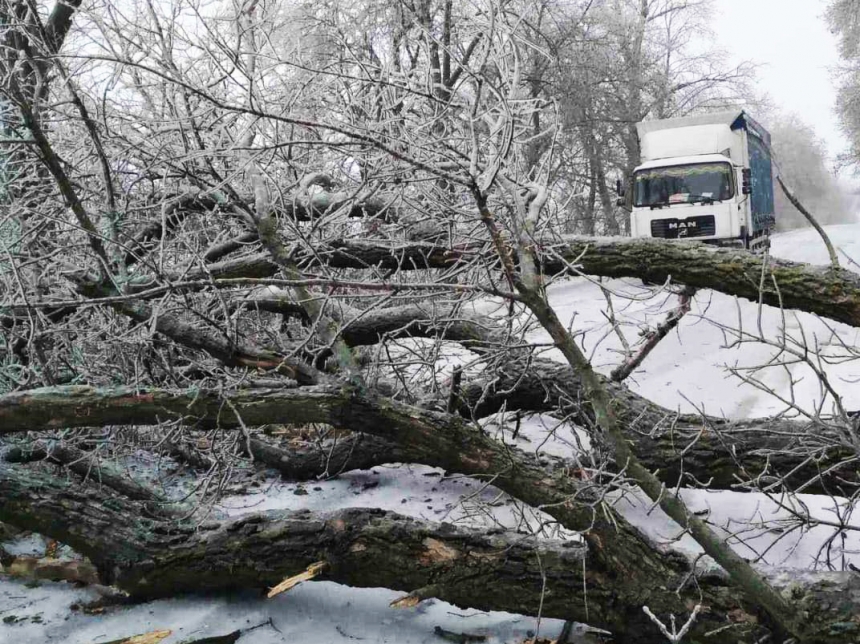 Упавшее дерево перегородило трассу в Николаевской области