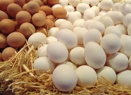 В Украине вновь подорожали яйца: когда ждать снижения цены