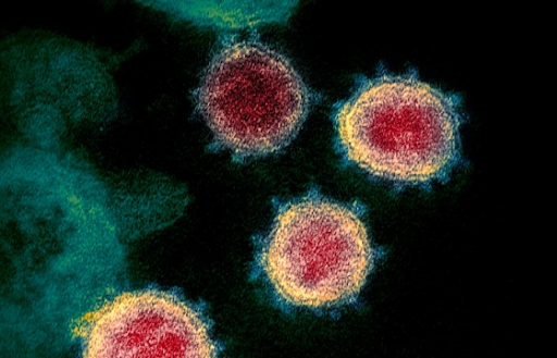 Ученые заявили, что новый штамм коронавируса более смертоносный