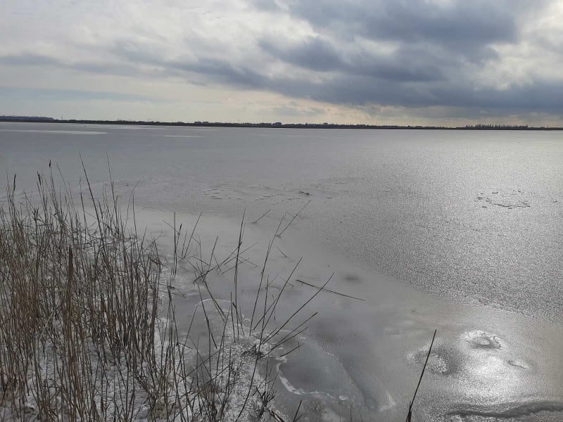 В Николаевской области трое детей провалились под лед – их спас водитель грузовика