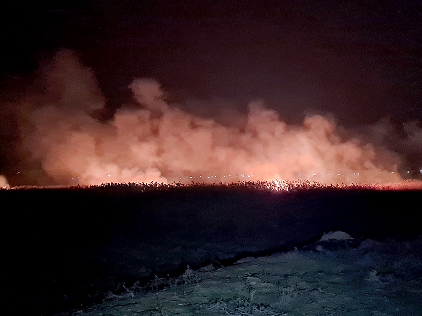 В Николаевской области подожгли камыш – выгорело 5 тысяч квадратных метров