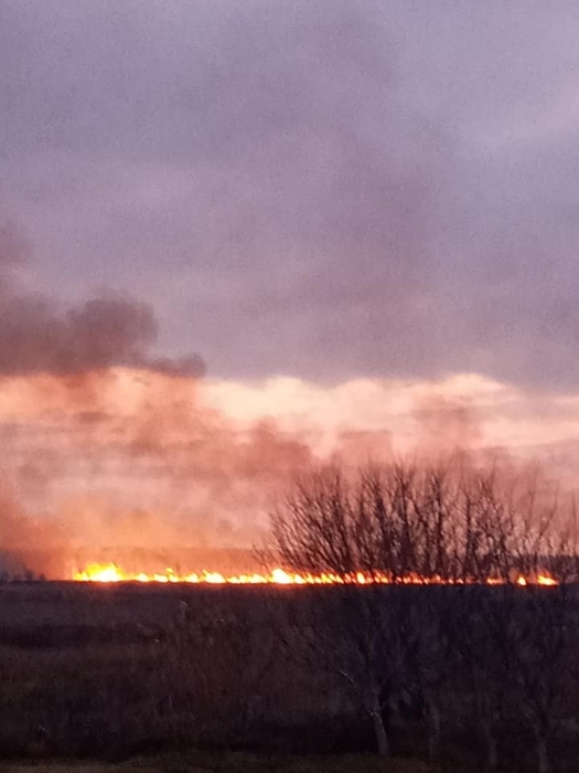 В Николаевской области масштабный пожар камыша. ВИДЕО