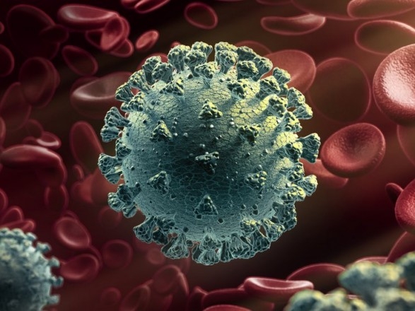 ВОЗ сообщила, что новые штаммы коронавируса расширили свою географию
