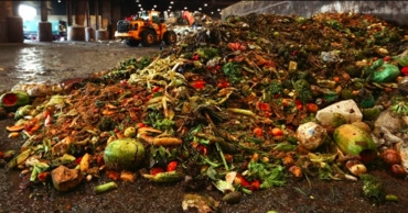 ООН: люди выбрасывают почти миллиард тонн еды в год