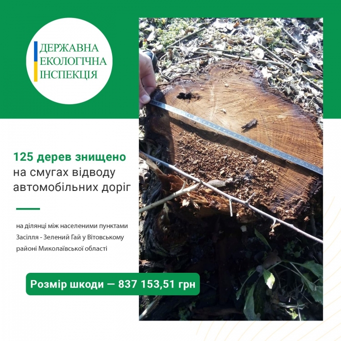 Под Николаевом спилили свыше ста деревьев — ущерб оценили почти в миллион