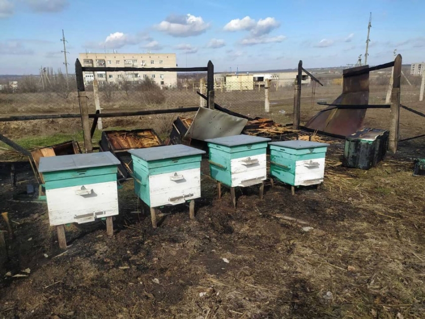 В Николаевской области подожгли пасеку