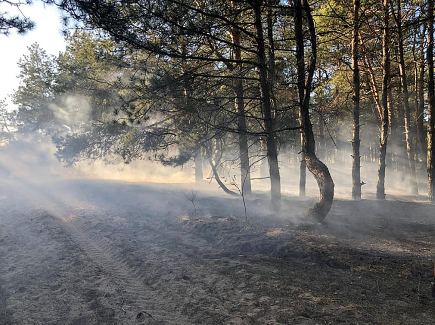Пожар в Балабановском лесу удалось ликвидировать