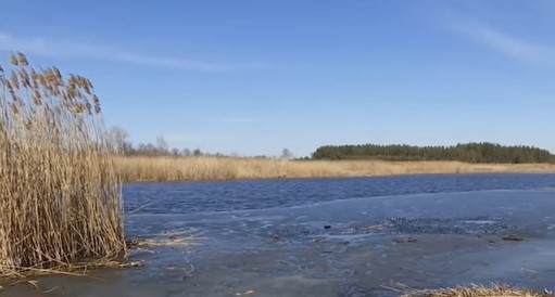 Под Харьковом школьник утонул, спасая своего пса