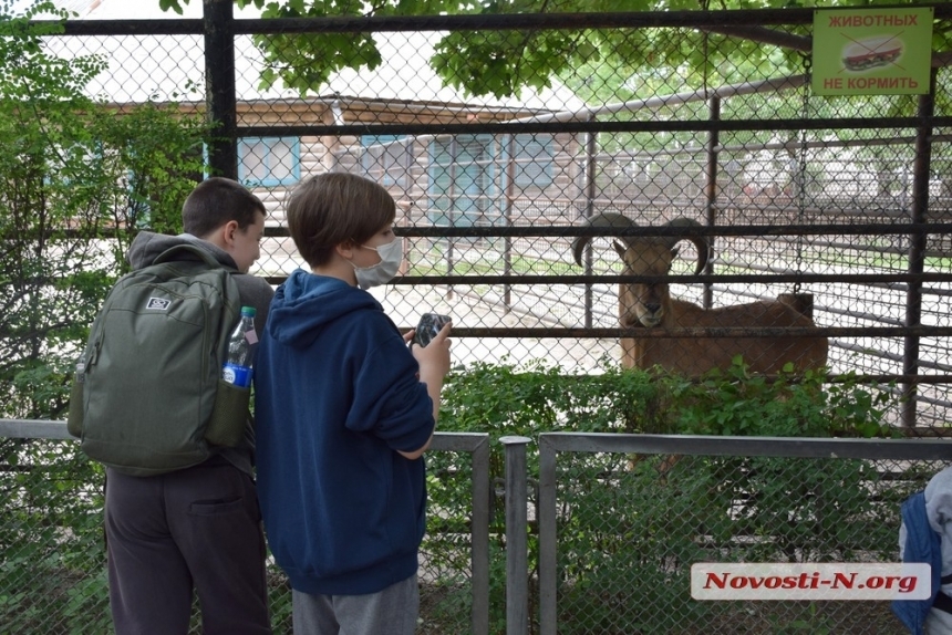 С 1 апреля вход в Николаевский зоопарк будет стоить 100 гривен