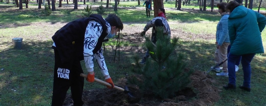 В Николаеве прошла эко-акция – высадили около 1000 деревьев   
