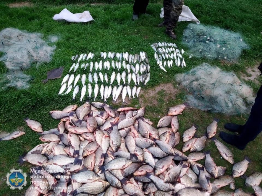 В Николаевской области браконьер наловил 70 килограмм рыбы 