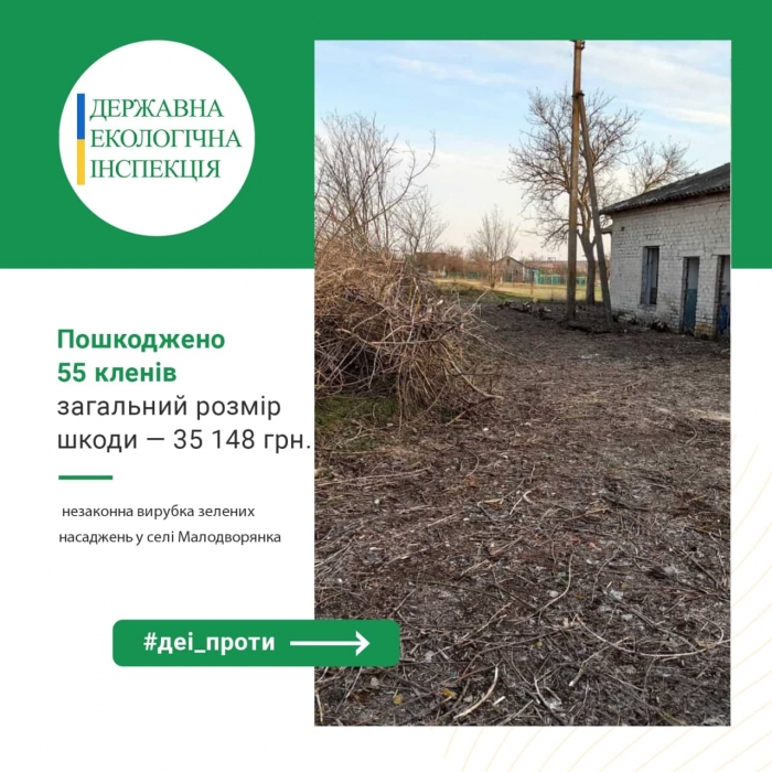 В Николаевской области уничтожили 55 кленов – экологи оценили ущерб