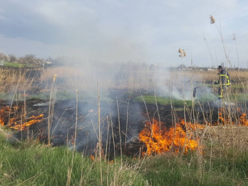 В Николаевской области из-за поджога выгорело 4 га камыша