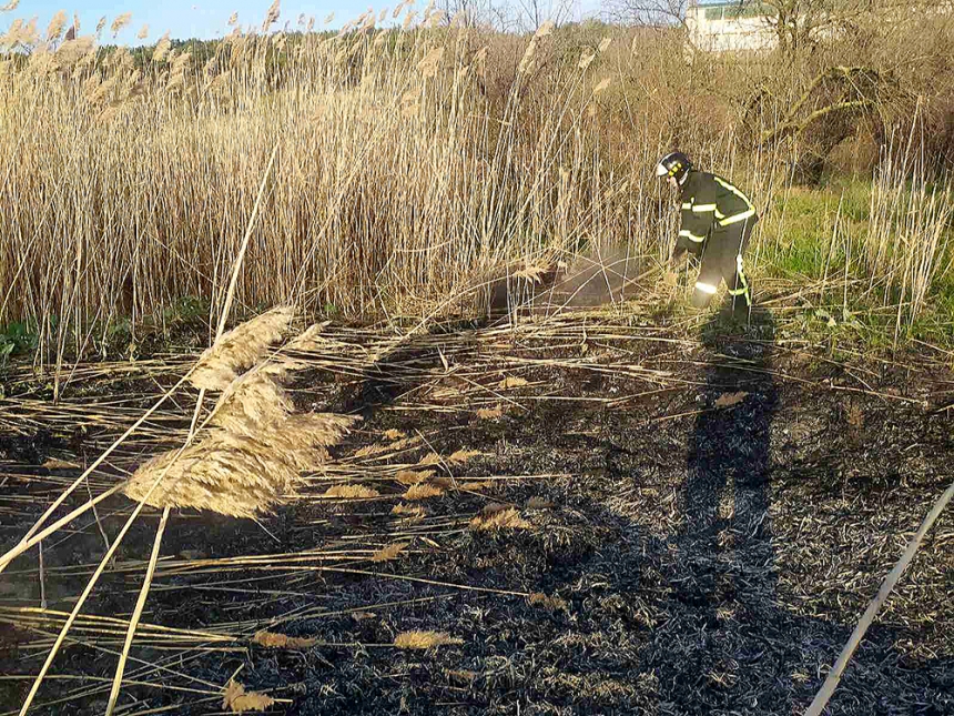 В Николаеве во время пожара сгорело 800 м² камыша