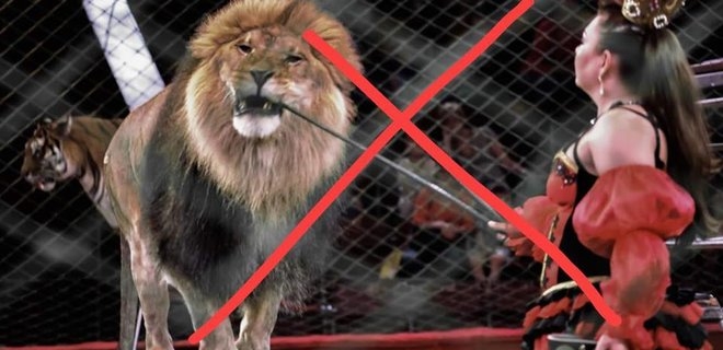 Верховная Рада Украины зарегистрировала законопроект о запрете цирка с животными