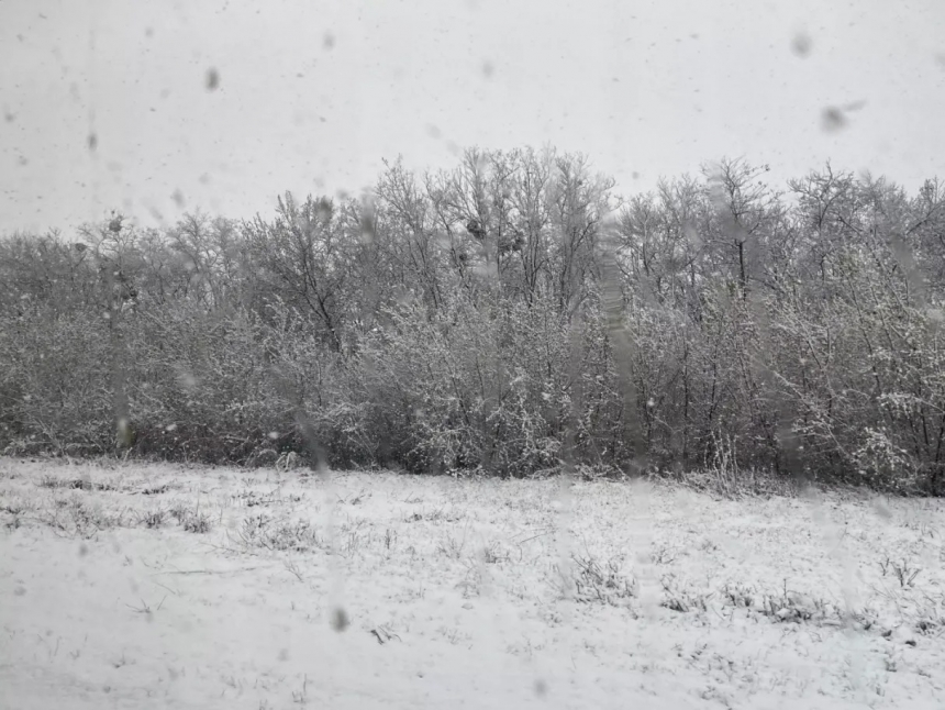 В Украине посреди весны выпал снег. Фото