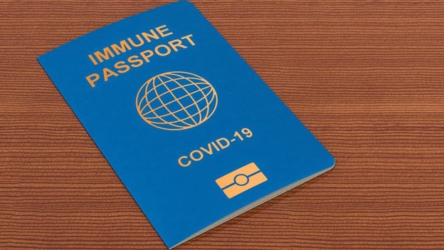 Страны G20 поддержали создание ковид-паспорта