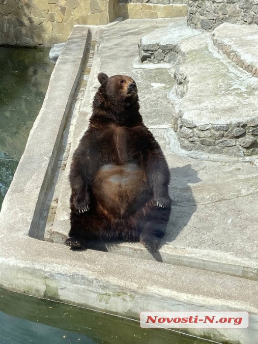 Николаевский зоопарк в первые выходные после выхода из «красной» зоны: животные «позируют» посетителям