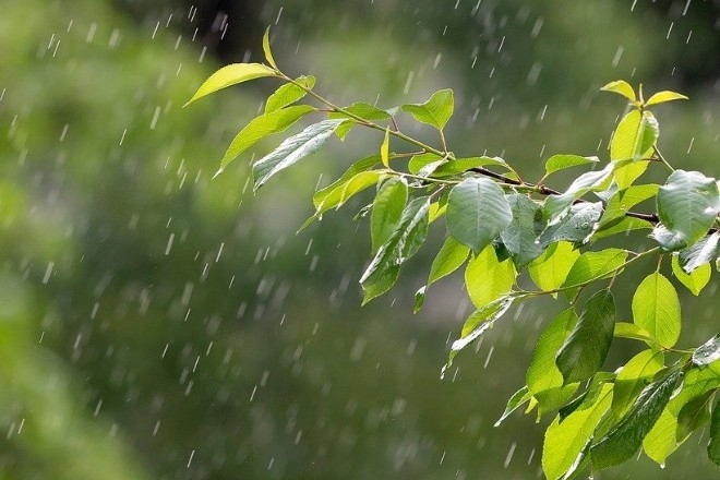 Кратковременные дожди и до +21º: погода в Николаеве во вторник