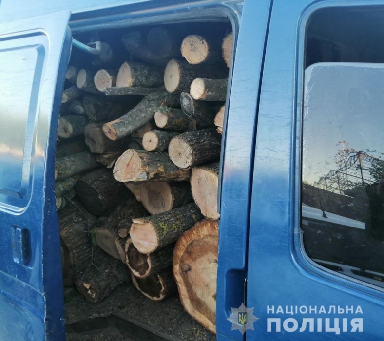 Полицейские Николаевской области выявили браконьера, который перевозил деревья в фургоне