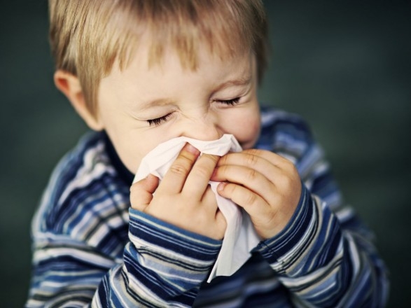 Эксперт посоветовала природные и простые способы противодействия сезонной аллергии у детей
