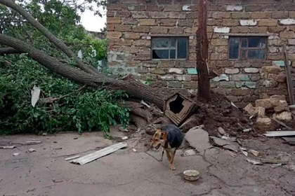 В Херсонской области ураган обесточил десятки сел и сорвал крыши на сотне зданий