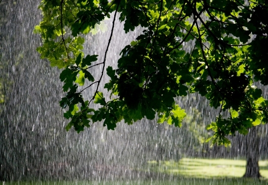 Дожди с грозами и ветер: погода в Николаеве в среду