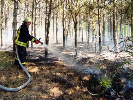 В Николаеве три часа спасатели и лесники тушили пожар в Балабановском лесу