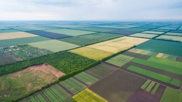 Открытие рынка земли в Украине: сколько налога придется заплатить за продажу участка