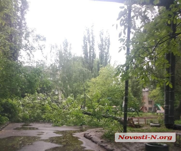 В Николаеве упало дерево, перегородив въезд во двор