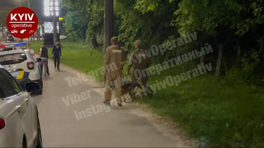 В Киеве в кустах у дороги нашли обнаженный женский труп