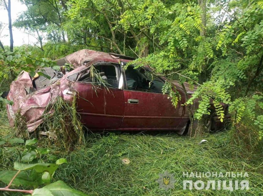 В Николаевской области Toyota врезалась в дерево: погибли водитель и пассажир