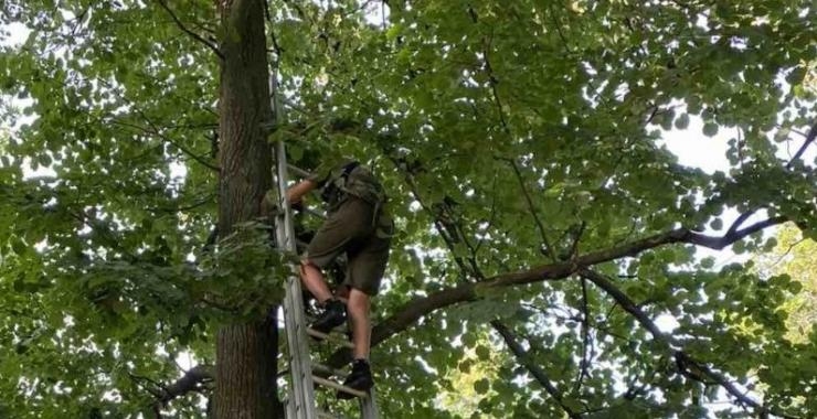 В харьковском парке спасатели сняли подростка с 6-метрового дерева