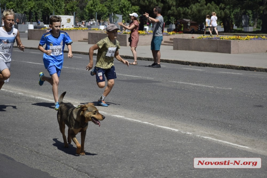 Как в Николаеве прошел Олимпийский день (фоторепортаж)