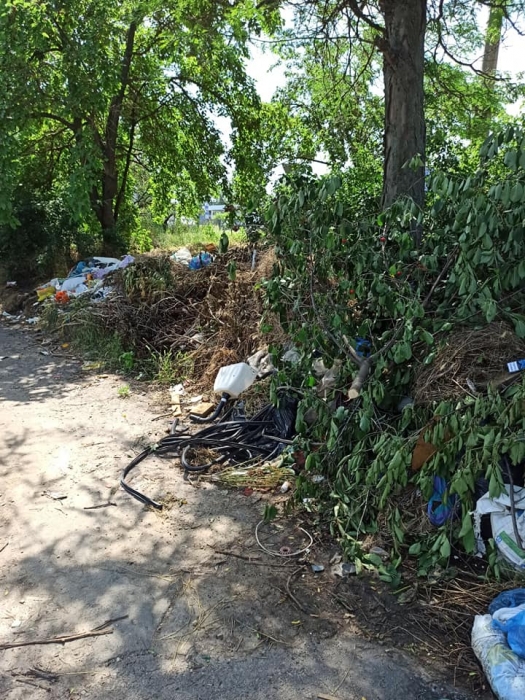 На стихийной свалке в Николаеве заметили крыс